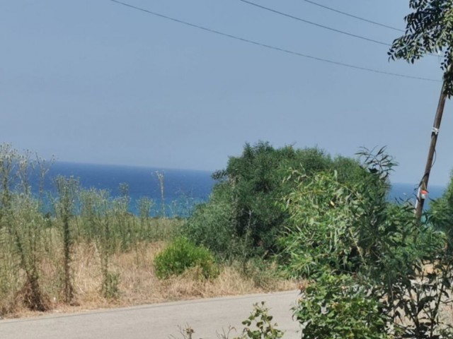 OLD RESTAURANT AND LAND IN YENI ERENKOY, ZERO TO THE SEA