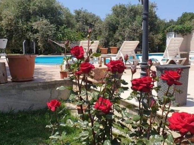 4+1 VILLA WITH POOL FOR RENT IN GIRNE OZANKO