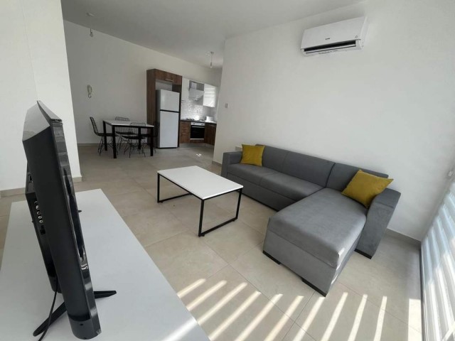 Newly furnished 2 bedroom flat for rent in alsancak, full close