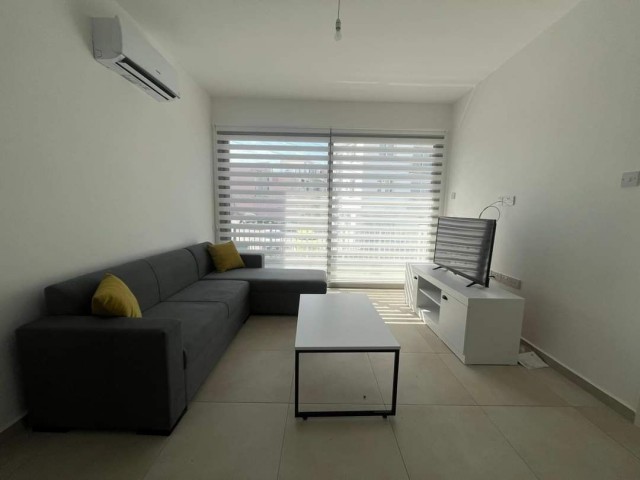 Newly furnished 2 bedroom flat for rent in alsancak, full close