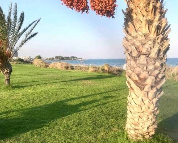 You can rent our fully furnished apartment in Long Beach - Iskele, in a site with a pool, within walking distance to the wonderful sea, sandy beach and wonderful beaches..