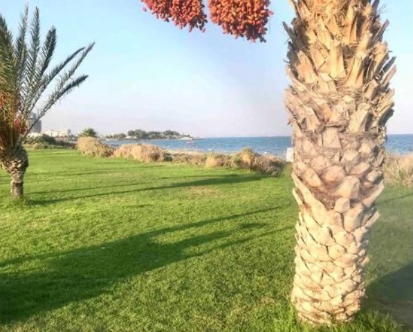 Unsere Wohnung zur Miete an einem ruhigen Ort in der Gegend von Long Beach-Şskele.