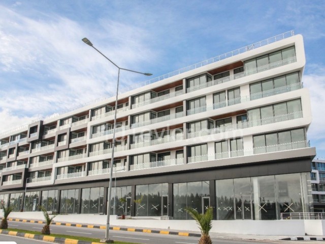 455 m2 SHOP FOR RENT in Omağ İntense project in Lefkosa Metehan