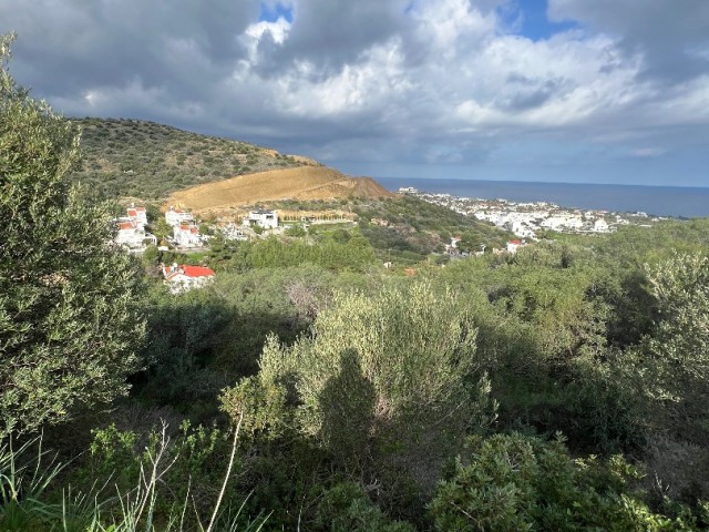 2700 m2 LAND FOR SALE IN GİRNE/ALSANCAK WITH MOUNTAIN AND SEA VIEWS.. 0533 859 21 66