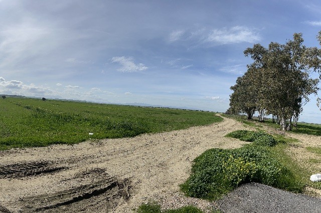 IN DER NÄHE DES FLUGHAFEN NICOSIA/GAZIKÖY, KAPITEL 96, 220 % ZONENLAND ZUM VERKAUF GEÖFFNET. 0533 859 21 66