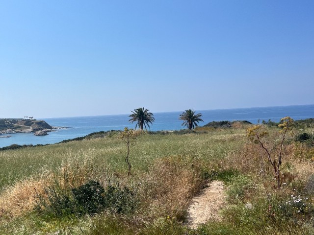 6 ACRES OF CYPRUS LAND FOR SALE IN İSKELE/KAPLICA NEAR THE SEA NEAR THE SEA.. 0533 859 21 66