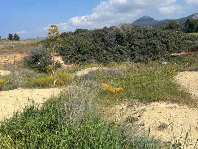 6 ACRES OF CYPRUS LAND FOR SALE IN İSKELE/KAPLICA NEAR THE SEA NEAR THE SEA.. 0533 859 21 66