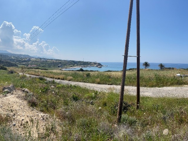 6 ACRES OF CYPRUS LAND FOR SALE IN İSKELE/KAPLICA NEAR THE SEA NEAR THE SEA.. 0533 859 21 66