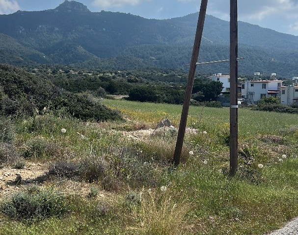 6 ACRES OF CYPRUS LAND FOR SALE IN İSKELE/KAPLICA NEAR THE SEA NEAR THE SEA.. 0533 859 21 66