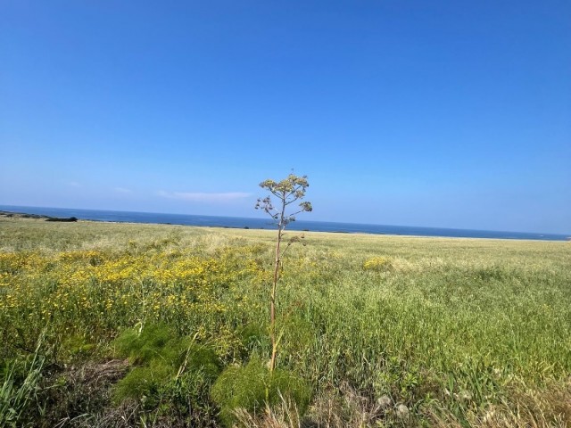 18 DECLARES OF LAND FOR SALE WITH SEA VIEW IN İSKELE/KAPLICA.. 0533 859 21 66