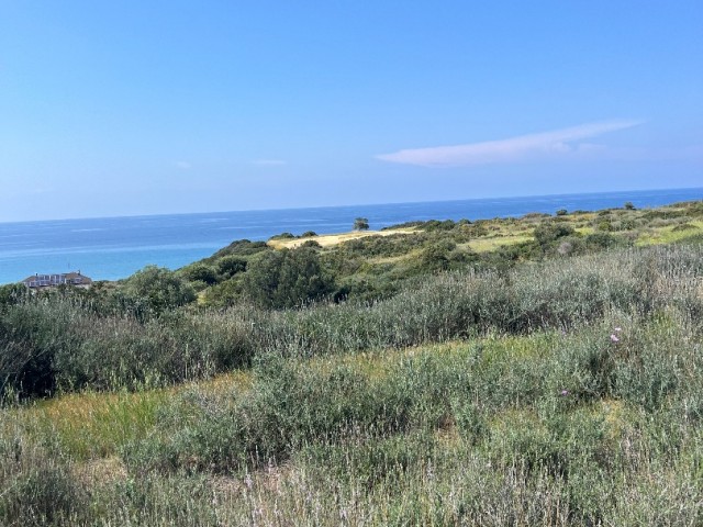 15 DECLARES OF LAND FOR SALE NEXT TO THE OPEN SEA IN ISKELE/KAPLICA..0533 859 21 66