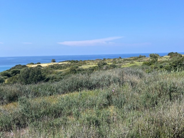 15 DECLARES OF LAND FOR SALE NEXT TO THE OPEN SEA IN ISKELE/KAPLICA..0533 859 21 66