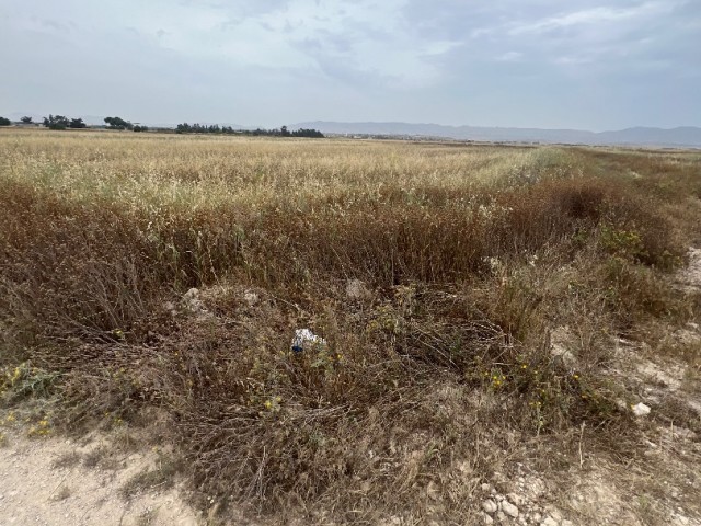 منطقه مسکونی برای فروش in Ötüken, ایسکله