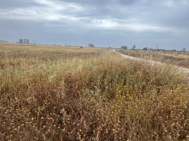 منطقه مسکونی برای فروش in Ötüken, ایسکله