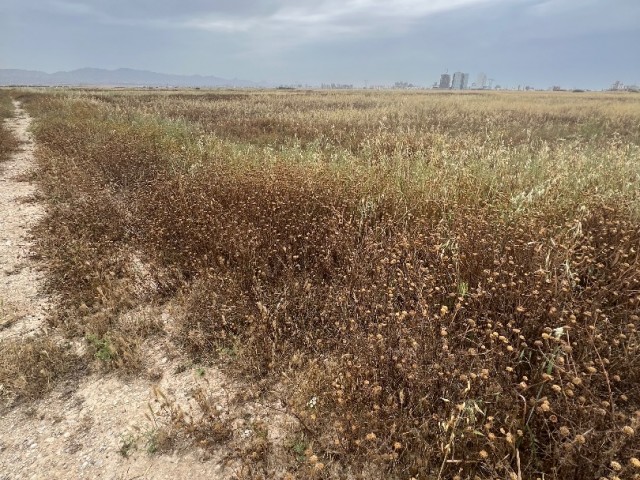 منطقه مسکونی برای فروش in Ötüken, ایسکله