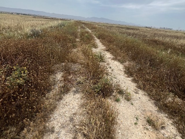 منطقه مسکونی برای فروش in Ötüken, ایسکله