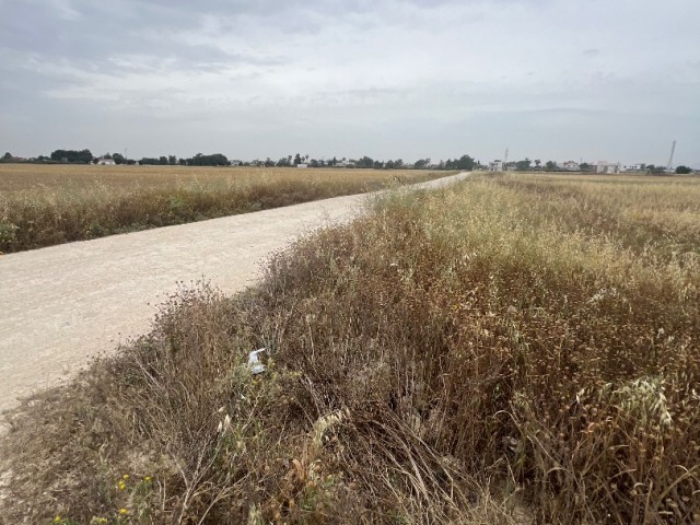 منطقه مسکونی برای فروش in Ötüken, ایسکله