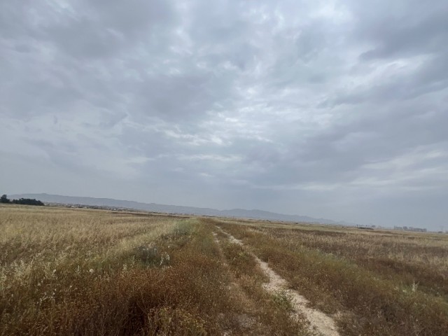 منطقه مسکونی برای فروش in Ötüken, ایسکله