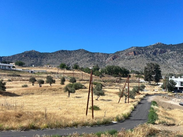 منطقه مسکونی برای فروش in Dikmen, گیرنه