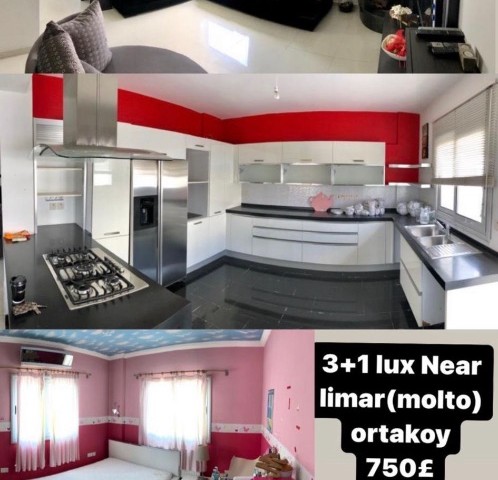 Monthly rental flat in Ortaköy