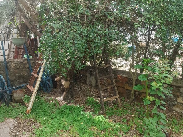 Einfamilienhaus Kaufen in Gelibolu, Nikosia