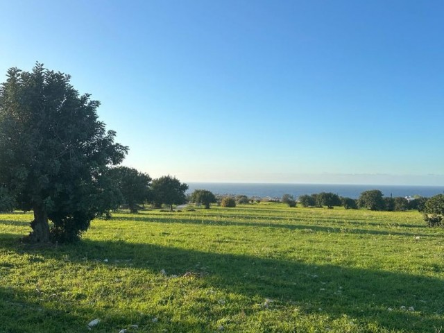 Einzigartiges 26 Hektar großes Grundstück mit Meerblick in Tatlısu