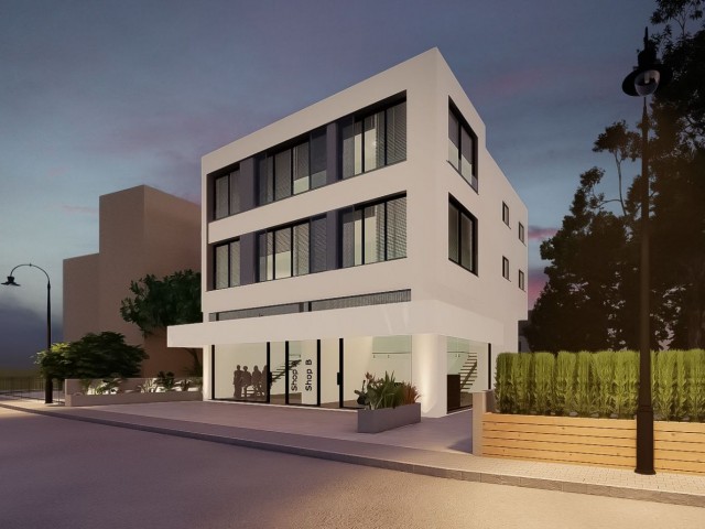 Nicosia Dereboyu Komplettes Gebäude zu vermieten