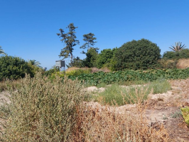 📍LAND ZU VERKAUFEN IN GIRNE OZANKÖY. Dieses Grundstück liegt im oberen Teil von Ozanköy und bietet eine herrliche Aussicht. Das Grundstück verfügt über eine türkische Eigentumsurku