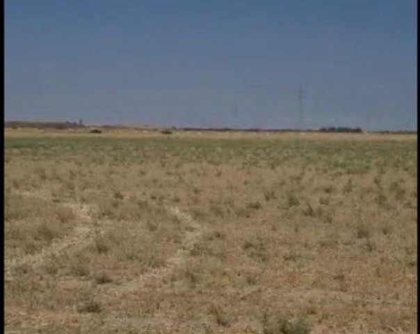 INVESTMENT OPPORTUNITY LAND NEAR NICOSIA DEMİRHAN AND ERCAN AIRPORT, CLOSED TO DEVELOPMENT WITH OFFI
