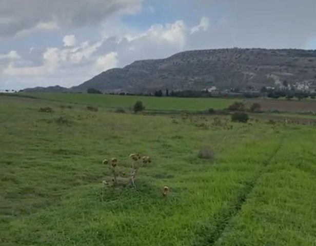 GRUNDSTÜCK ZU VERKAUFEN STANDORT: İSKELE BALALAN FLÄCHE: 5 ERKLÄRT 2 EVLEK QUADRATMETER: 7,359 m2 TITELART: TÜRKISCH VERTRAGSSTRASSE: DURCHGANGSSTRASSE AKTUELLE ZONENEINRICHTUNG: I