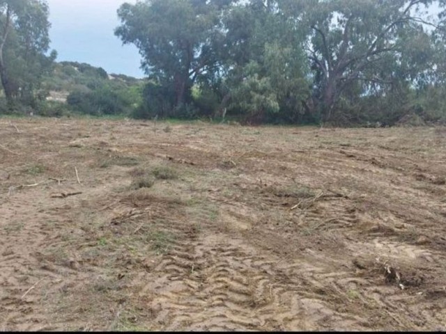 رشته برای فروش in Kumyalı, ایسکله