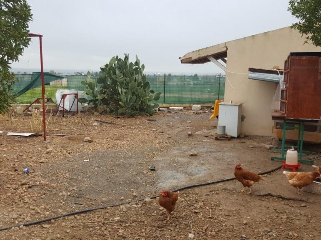 Villa Kaufen in Serdarlı, Famagusta