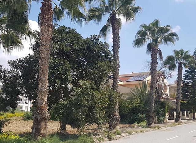 Residential Zoned Plot For Sale in Gönyeli, Nicosia