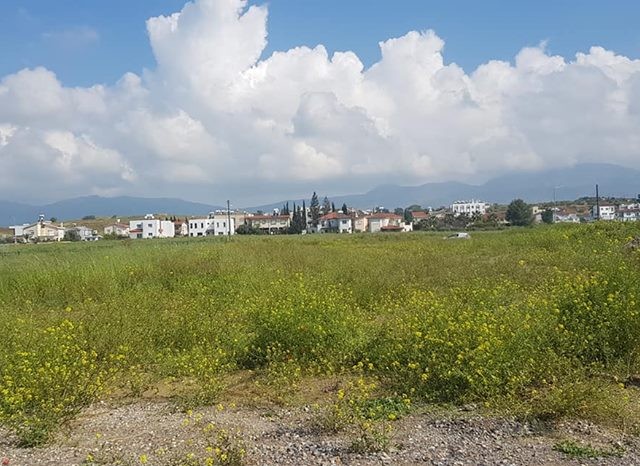 Residential Zoned Plot For Sale in Gönyeli, Nicosia