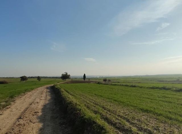 Field For Sale in Yılmazköy, Nicosia