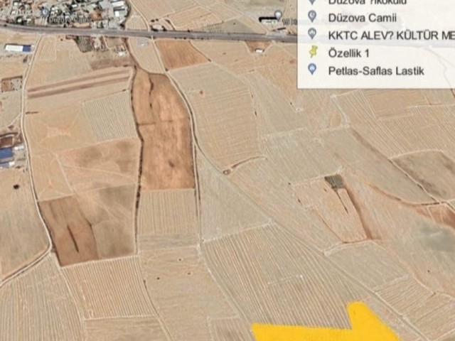 A TOTAL OF 50 ACRES OF TURKISH COB INVESTED FIELD ACRES NEAR THE MAIN ROAD OF MAGUSA IN THE NICOSIA DÜZOVA REGION 6.5000 STG ** 
