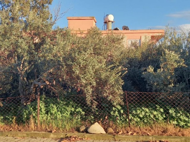 خانه دوبلکس با یک باغ بسیار بزرگ در GÜZELYURT BOSTANCI.