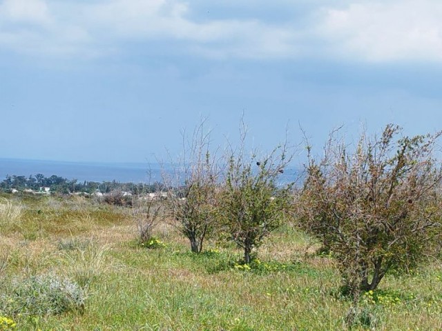 ALL FLAT FOR LAND WITH A VAST SEA VIEW IN A HIGH POSITION IN LEFKE GREENLYURT. 