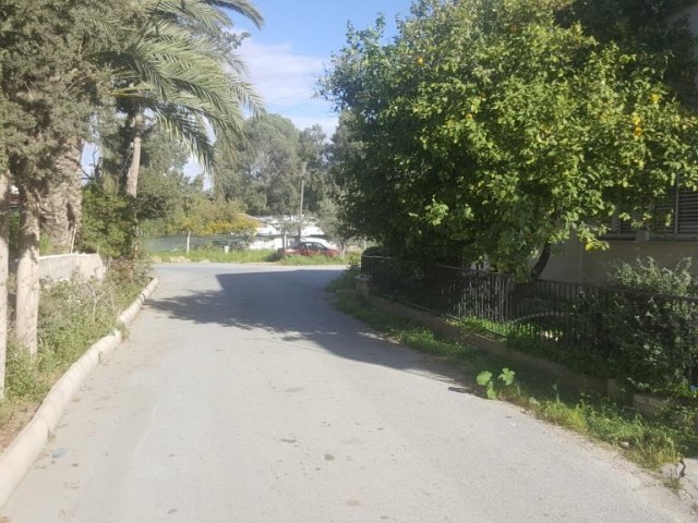 Einfamilienhaus Mieten in Ortaköy, Nikosia