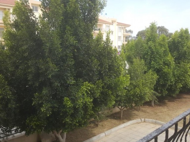 Flat To Rent in Yenikent, Nicosia