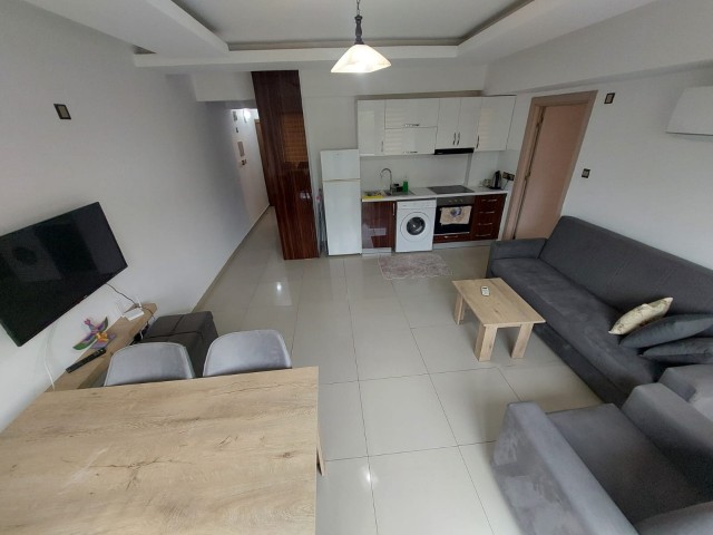1+1 Fully Furnished Flat Above Peace Park 1 Deposit Opportunity