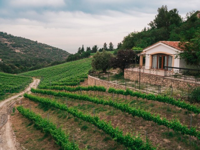 Teilmöbliertes Apartment mit 2 Schlafzimmern und Blick auf den Weinberg