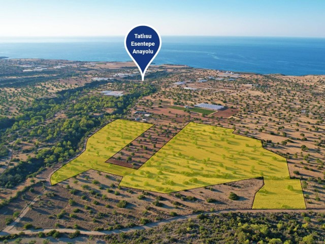 Land for Sale with Sea View in Tatlısu