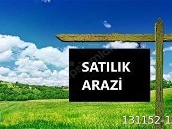 Anayola 0 ve denize yakın, satilik duz 4 dönüm +905428777144 English,  Türkçe,  Русский