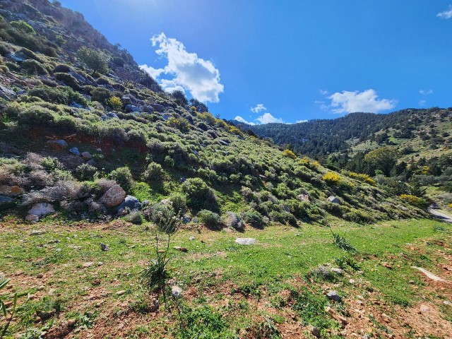 Karşıyaka, mountain side, non-neighboring land for sale +905428777144 Русский, English, Turkish