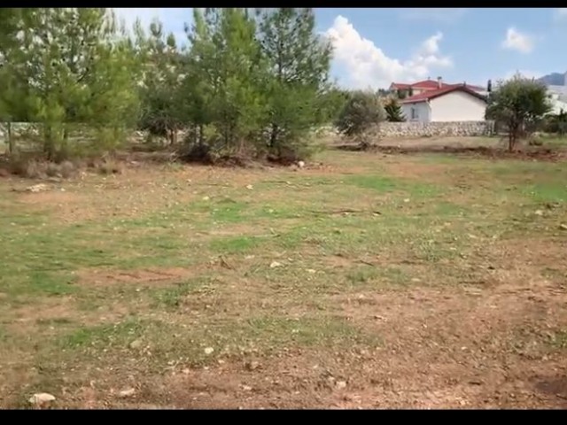 2 LANDS FOR SALE IN EDREMIT, KYRENIA REGION- BOTH CLOSE TO SIDE ROAD