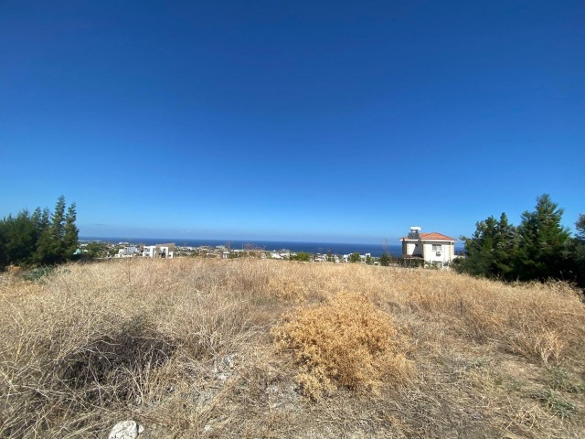 Land for sale in Catalkoy