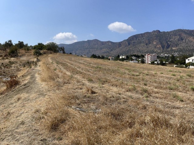 LAND IN BOĞAZ FOR SALE – LKBZ10