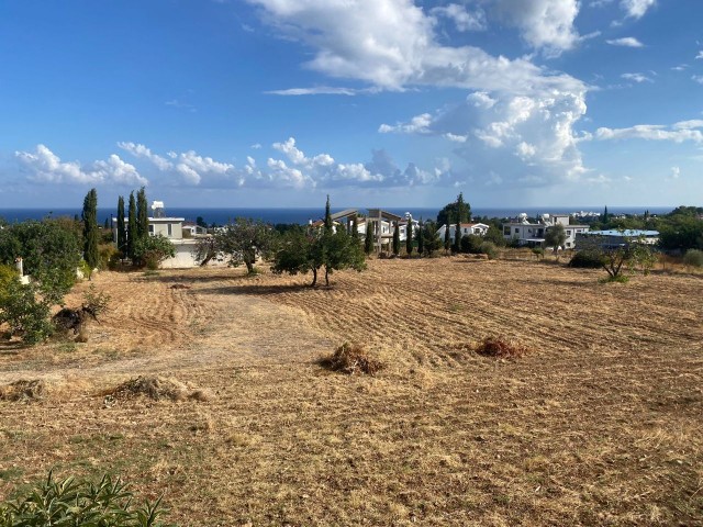 Villa zum Verkauf mit 5 Hektar Garten in Çatalköy