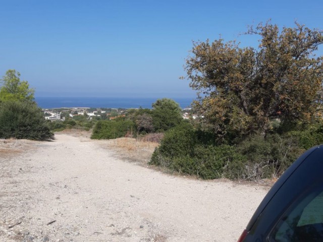 Land For sale in Karsiyaka